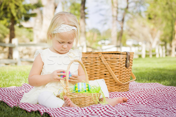 Cute Easter Eggs koc piknikowy trawy Zdjęcia stock © feverpitch