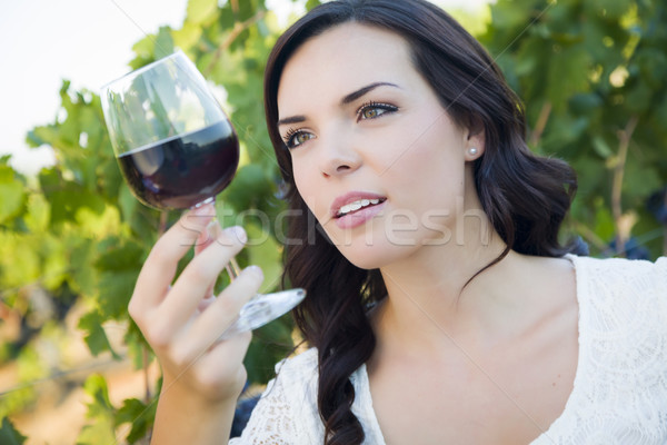 Frau genießen Glas Wein Weinberg Stock foto © feverpitch