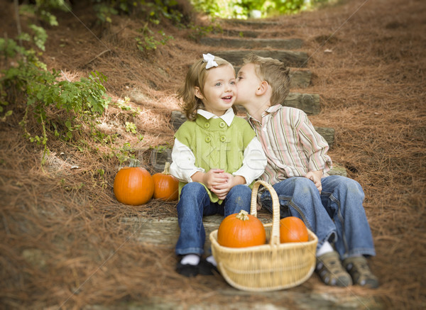 Brother and Sister Children on Wood Steps with Pumpkins Whisperi Stock photo © feverpitch