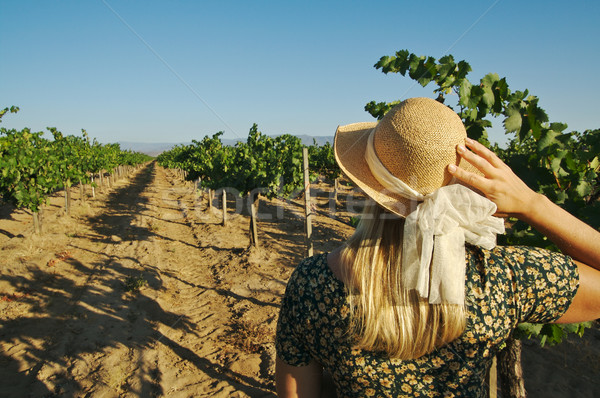 Beautiful Woman Strolling at a Winery Stock photo © feverpitch