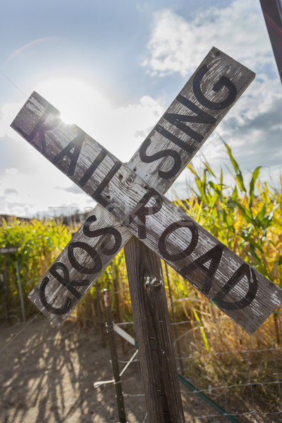 Antique Country Rail Road Crossing Sign Near a Corn Field
 Stock photo © feverpitch