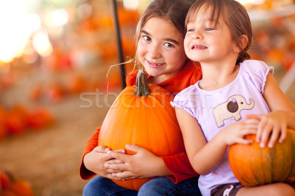 Cute Little Girls Holding Their Pumpkins At A Pumpkin Patch Stock photo © feverpitch