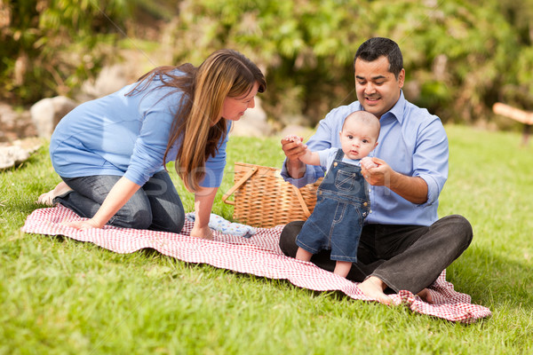 Gelukkig halfbloed familie spelen park picknick Stockfoto © feverpitch