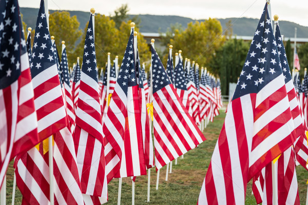 Dziedzinie dzień amerykański flagi wietrzyk Zdjęcia stock © feverpitch
