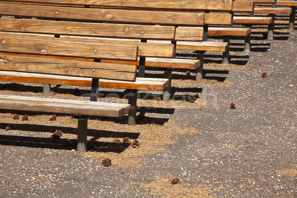 Freien Holz Amphitheater abstrakten Kiefer Nadeln Stock foto © feverpitch