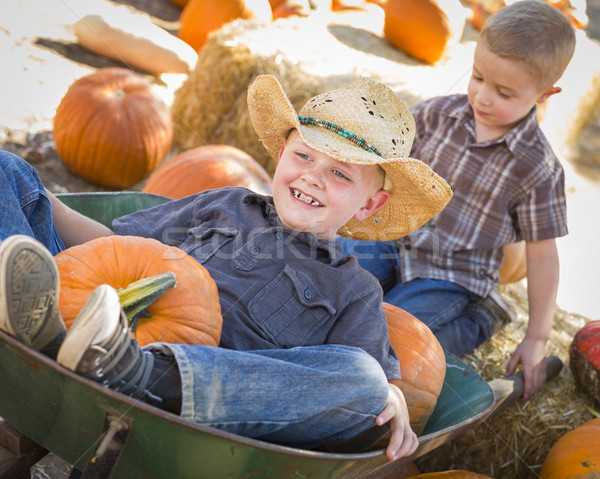 Two Little Boys Playing in Wheelbarrow at the Pumpkin Patch Stock photo © feverpitch