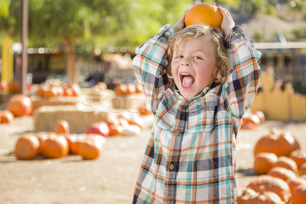 Little Boy Holding His Pumpkin at a Pumpkin Patch Stock photo © feverpitch