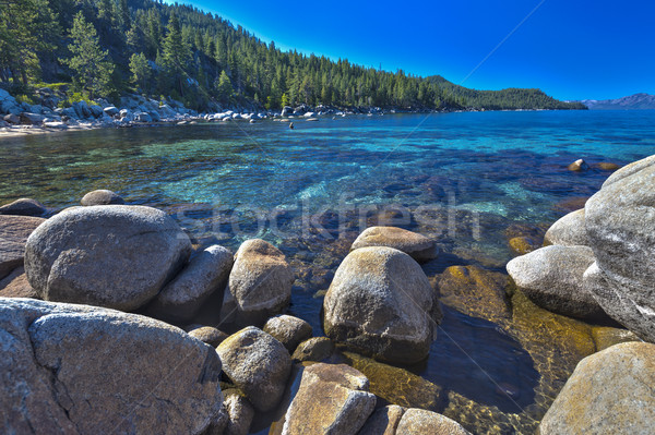 Beautiful Shoreline of Lake Tahoe Stock photo © feverpitch