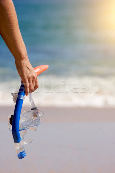 Woman Holding Snorkeling Gear Stock photo © feverpitch