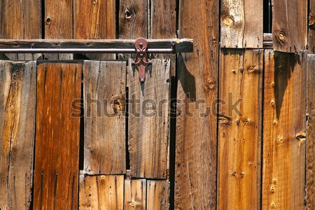 Professional Painter Spraying Yard Fence with Stain Stock photo © feverpitch