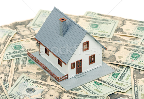 Home and Money Stock photo © feverpitch