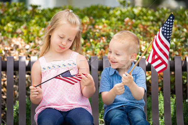 Young Sister and Brother Comparing Each Others American Flag Siz Stock photo © feverpitch