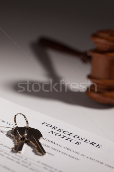 Foreclosure Notice, Gavel and House Keys Stock photo © feverpitch