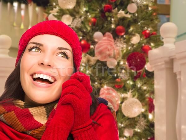 Warmly Dressed Female In Front of Decorated Christmas Tree. Stock photo © feverpitch