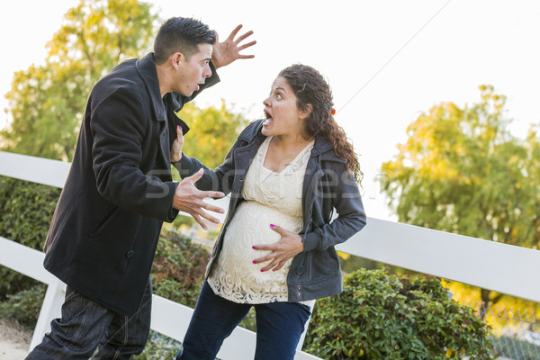 Stunned Excited Pregnant Woman and Husband with Hand on Belly Stock photo © feverpitch