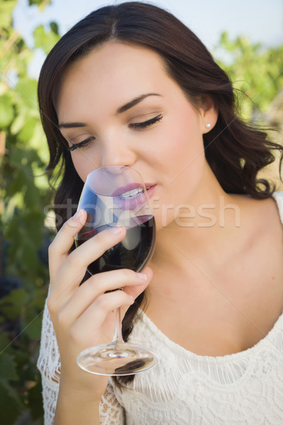 女子 享受 玻璃 酒 葡萄園 商業照片 © feverpitch