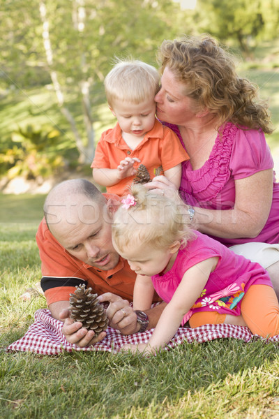 Young Family Talking about Pine Cones in Park Stock photo © feverpitch