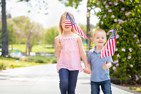 Young Sister and Brother Waving American Flags At The Park Stock photo © feverpitch