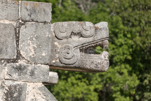 捷豹 考古學的 奇琴伊察 墨西哥 商業照片 © feverpitch