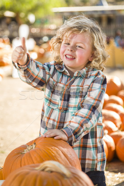 Cute Little Boy Gives Thumbs Up at Pumpkin Patch Stock photo © feverpitch