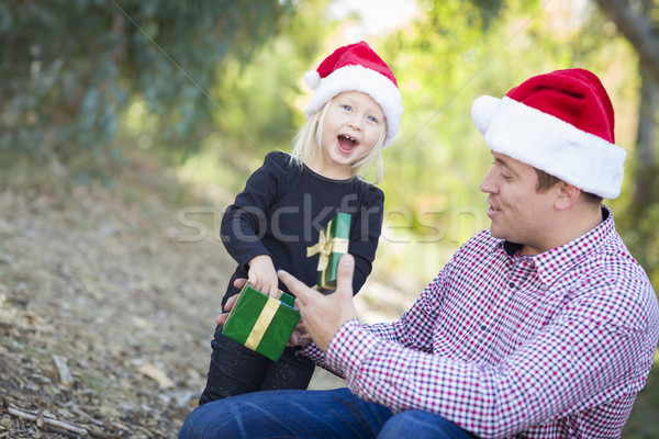 Stock fotó: Apa · fiatal · lánygyermek · karácsony · ajándék · boldog