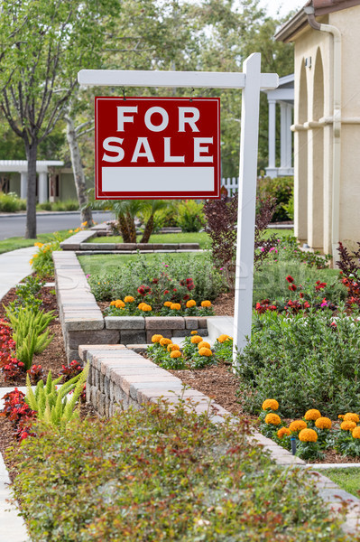 Home For Sale Real Estate Sign in Front of New House Stock photo © feverpitch