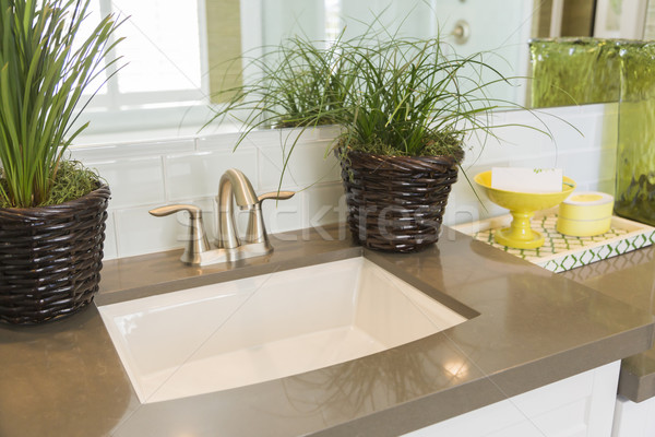 New Modern Bathroom Sink, Faucet, Subway Tiles and Counter  Stock photo © feverpitch