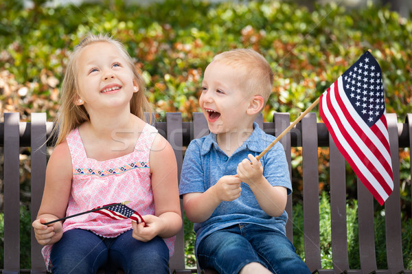 Stock photo: Young Sister and Brother Comparing Each Others American Flag Siz