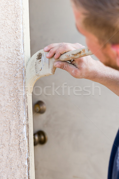 Professional Painter Cutting In With Brush to Paint House Door F Stock photo © feverpitch