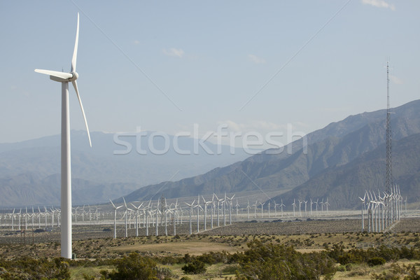 Dramatic Wind Turbine Farm Stock photo © feverpitch