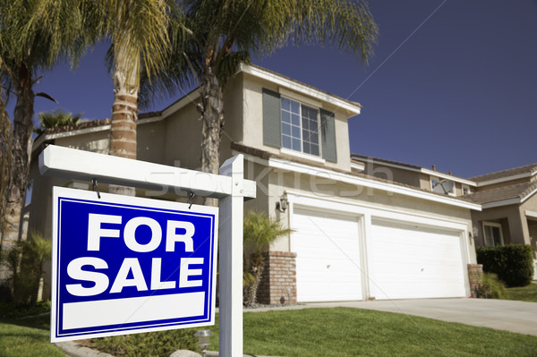 Blue For Sale Real Estate Sign and House Stock photo © feverpitch