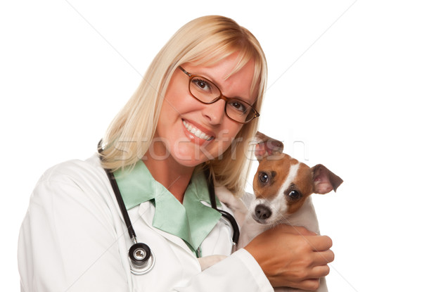 Attractive Female Doctor Veterinarian with Small Puppy Stock photo © feverpitch