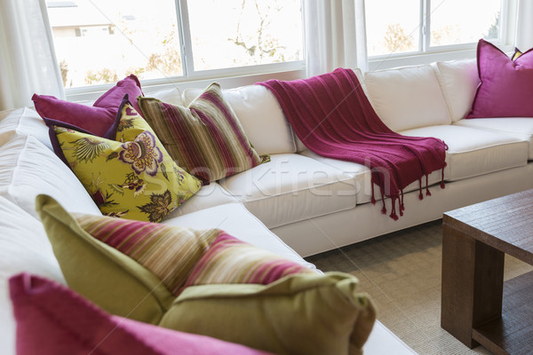 Abstract of Inviting Colorful Couch Sitting Area Stock photo © feverpitch