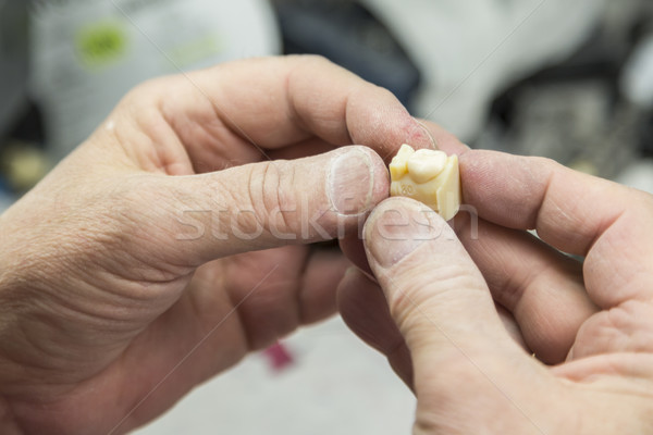 Fogászati technikus dolgozik 3D nyomtatott penész Stock fotó © feverpitch