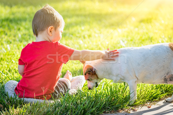 Cute Baby Boy Sitting In Grass Petting Dog Stock photo © feverpitch