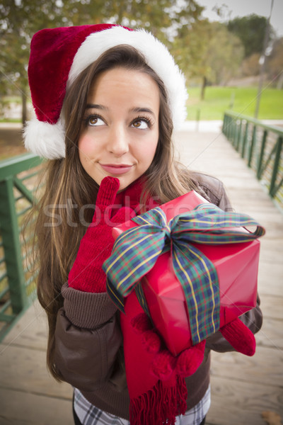 Jolie femme chapeau cadeau joli [[stock_photo]] © feverpitch