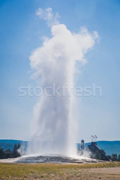 Vecchio fedele geyser parco Foto d'archivio © feverpitch