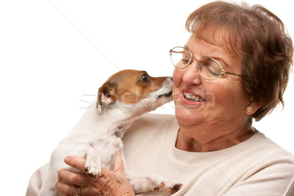 Happy Attractive Senior Woman with Puppy on White Stock photo © feverpitch