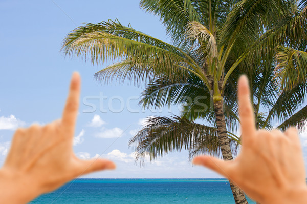 Hands Framing Palm Trees and Tropical Waters Stock photo © feverpitch