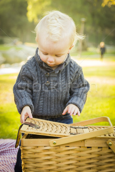 Bébé garçon ouverture panier pique-nique extérieur [[stock_photo]] © feverpitch