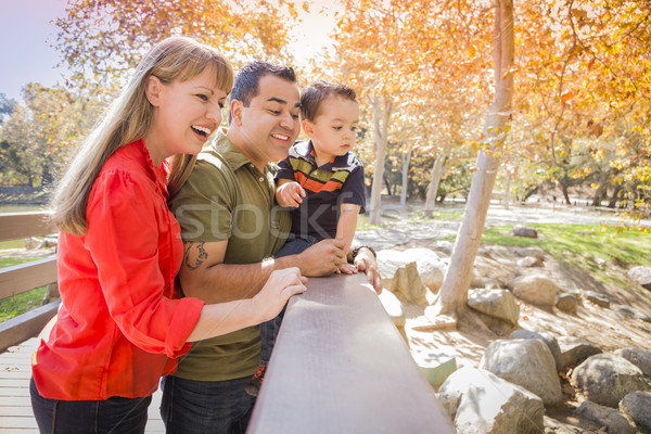 Stock foto: Familie · genießen · Tag · Park · glücklich