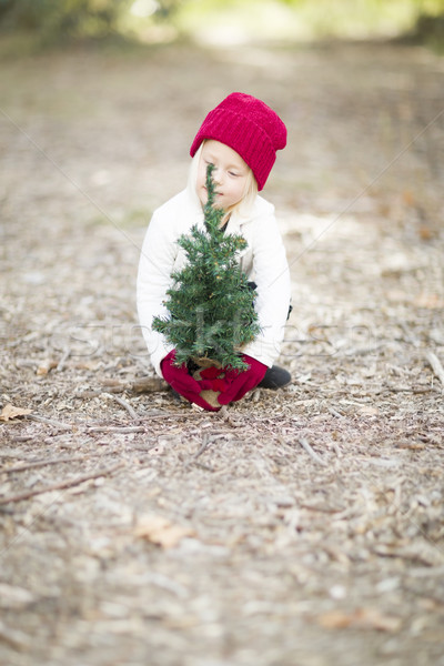 Lány piros ujjatlan kesztyűk sapka kicsi karácsonyfa Stock fotó © feverpitch