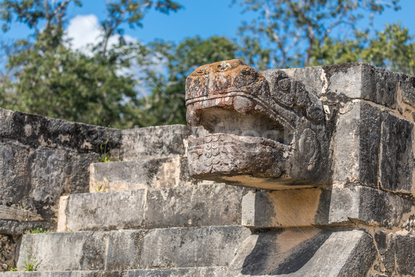 Mayan Jaguar Figurehead Sculptures at the Archaeological Site in Stock photo © feverpitch