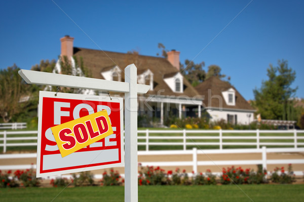 Immobilier signe maison maison vente [[stock_photo]] © feverpitch