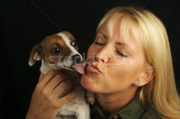 Attractive Woman & JRT Stock photo © feverpitch