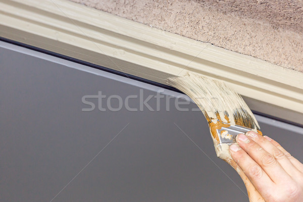 Professional Painter Cutting In With Brush to Paint House Door F Stock photo © feverpitch