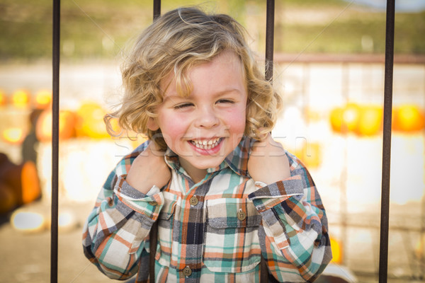 Little Boy Playing at the Park Stock photo © feverpitch