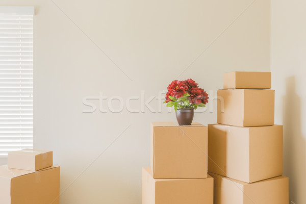 Variety of Packed Moving Boxes In Empty Room Stock photo © feverpitch