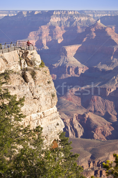 Woman Enjoys the Beautiful Grand Canyon Landscape View Stock photo © feverpitch