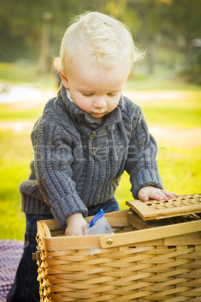 Bebé nino apertura cesta de picnic aire libre Foto stock © feverpitch